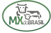 MX do Brasil